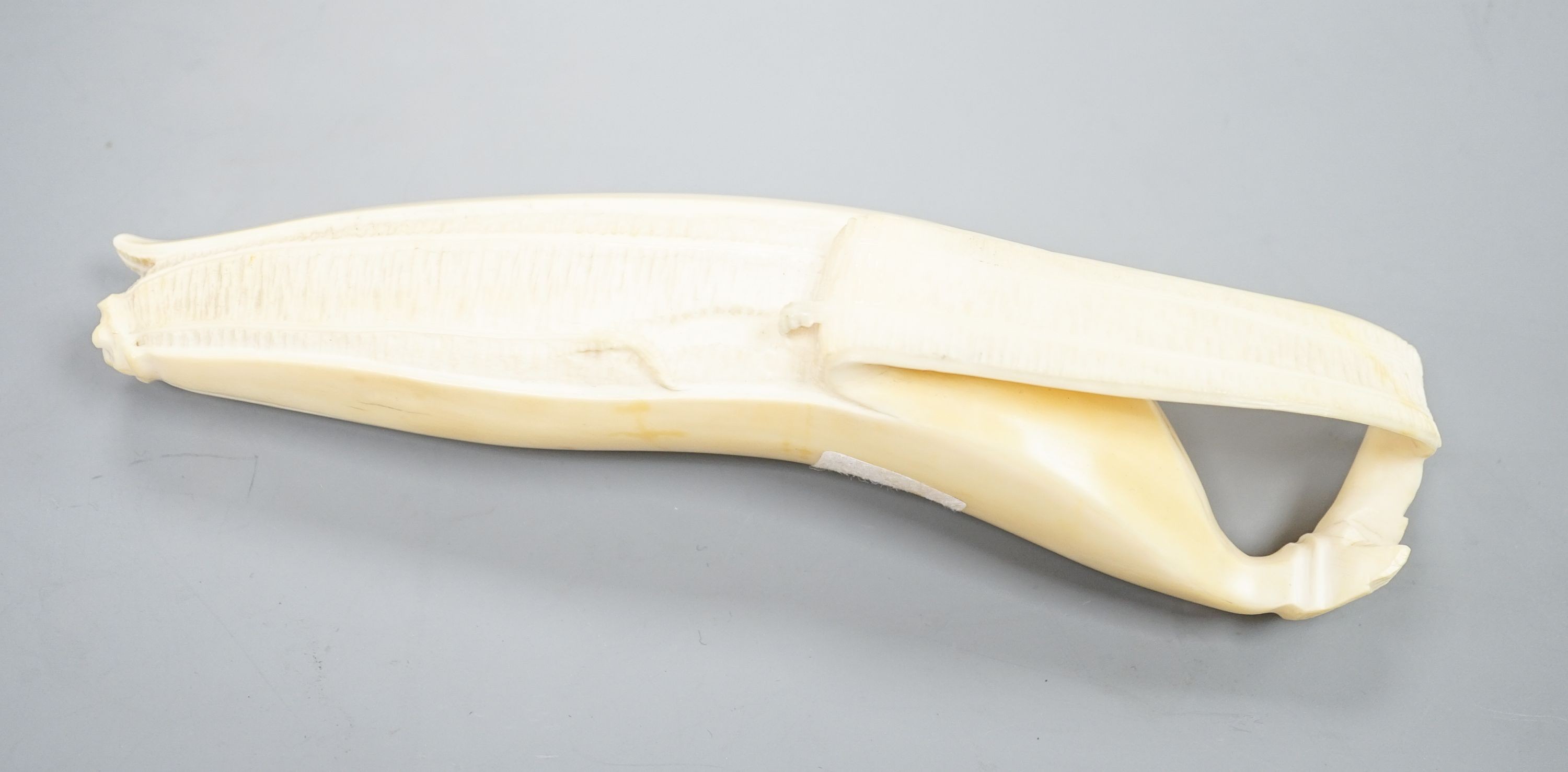 A Japanese carved ivory model of a partially peeled banana c.1900, 16cm